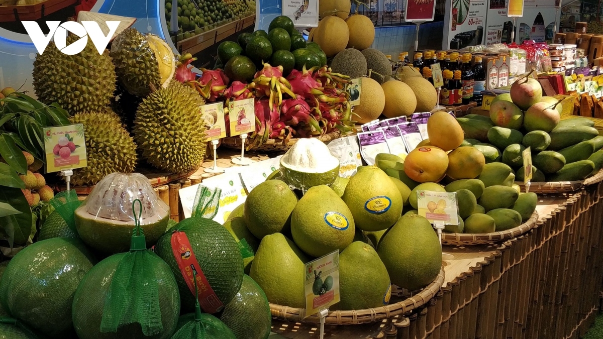 Ample room for Vietnamese tropical fruits to gain entry to EU market